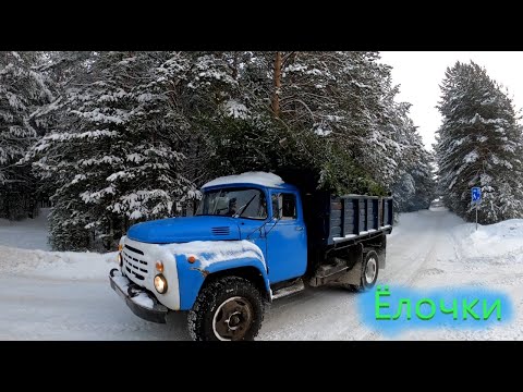 Видео: ЗИЛ-130 за Ёлками к Новому году! Застрял в деляне! Ждем трактор МТЗ-82 пытаемся не замерзнуть!