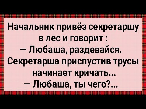 Видео: Как Начальник Секретаршу в Лес Повёз! Сборник Свежих Анекдотов! Юмор!
