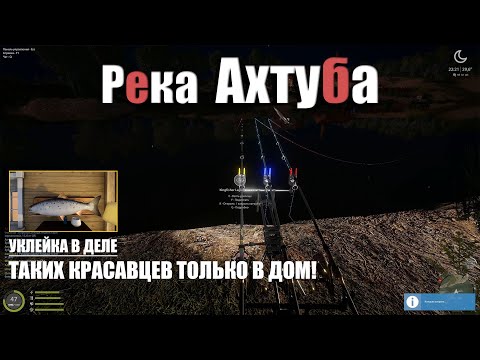 Видео: Фарм на уклейку • Таких трофеев только на доску • Река Ахтуба • Русская Рыбалка 4