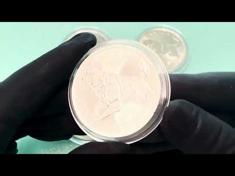 Видео: Серебро Будет по 250$ за Унцию?! Как Аналитики Посчитали Такую Цену?! #luxurybanking #silverprice