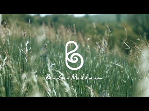 Видео: Фортепианные мелодии, дарящие утешительную паузу в неторопливые выходные