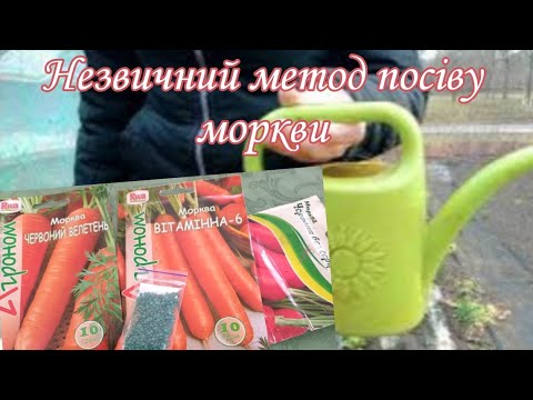 Видео: Сіємо моркву ідеальним методом.Вам не доведеться проривати.