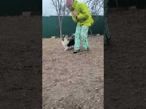 Видео: усиление мотивации в игре пример