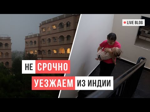 Видео: VLOG 34. Уезжаем: последний день в Индии / Аскеза в кедах