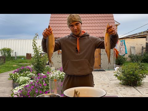 Видео: Приготовил КИЛОГРАММОВЫХ ОМУЛЕЙ! Фирменный рецепт Байкальского омуля!