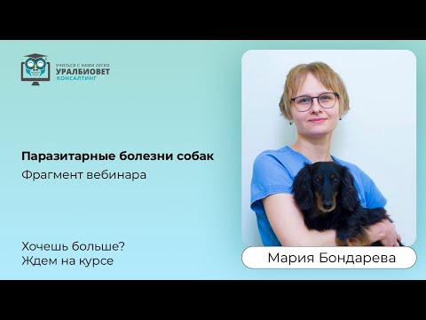 Видео: Фрагмент первого вебинара из курса по паразитозам кожи с Марией Бондаревой