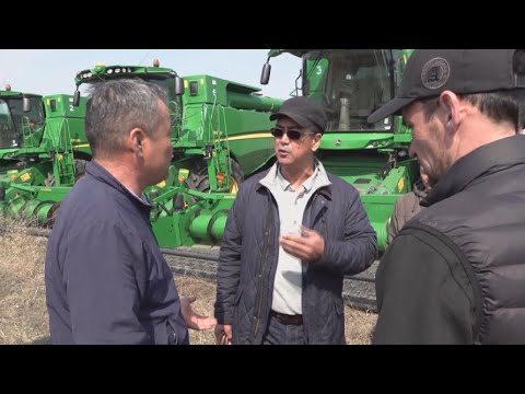 Видео: Спор из-за 10 комбайнов разгорелся в СКО