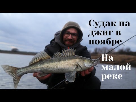 Видео: Судак малой реки на джиг в ноябре.