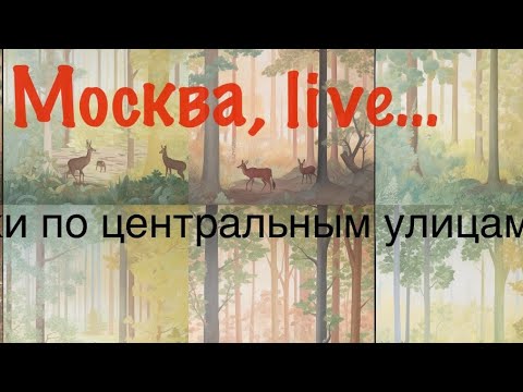 Видео: 🎙️📣 центр г.Москвы, 👌прогулка онлайн✨