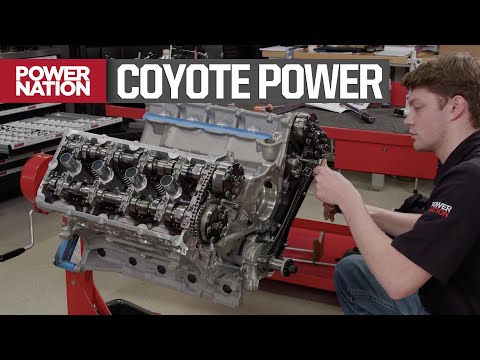 Видео: Сборка гоночного 5-литрового Coyote из кучи деталей — мощность двигателя S8, E10