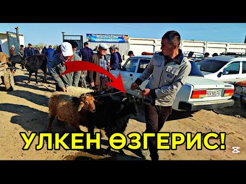 Видео: 20-АПРЕЛ ШЫМБАЙ МАЛ БАЗАРЫ АТ БАЗАРЫ БАХАЛАРЫ ӨЗГЕРДИ! КӨРИП ХАЙРАН ҚАЛАСЫЗ