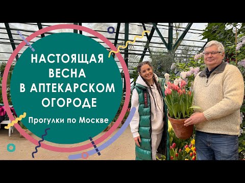 Видео: Настоящая весна в Аптекарском огороде. Прогулки по Москве
