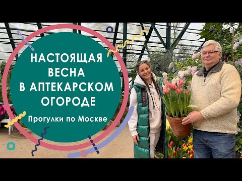 Видео: Настоящая весна в Аптекарском огороде. Прогулки по Москве