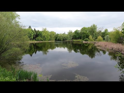 Видео: Ботанический сад  Самара