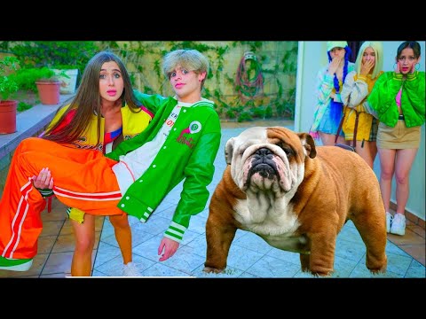 Видео: Дајаниног дечка напао пас! Дајана је шокирана! Ко ће победити на такмичењу?