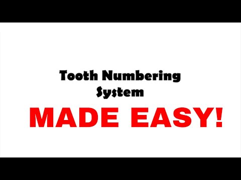 Видео: Система нумерации зубов | Palmer, Universal и FDI System | Оральная биология