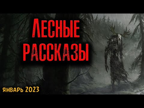 Видео: ЛЕСНЫЕ РАССКАЗЫ | Страшные истории