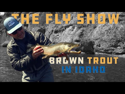 Видео: Форель в Айдахо с Келли Гэллоуп (THE FLY SHOW S2 E1)