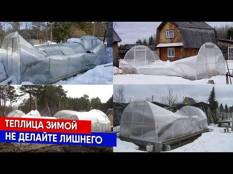 Видео: Теплица зимой - не делайте лишнего