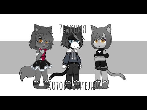 Видео: Реакция семьи Бича на него• 2/?? •(чит.опис.)