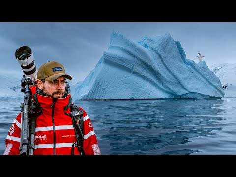 Видео: Антарктический фотопутешественник, день 1