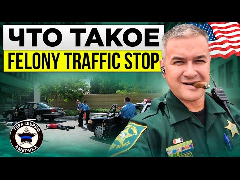 Видео: Самый опасный контакт с полицией Майами. Что делать, чтобы не погибнуть. Как избежать катастрофу