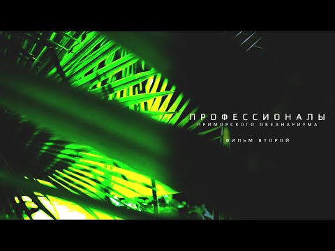 Видео: Профессионалы Приморского океанариума. Фильм второй.
