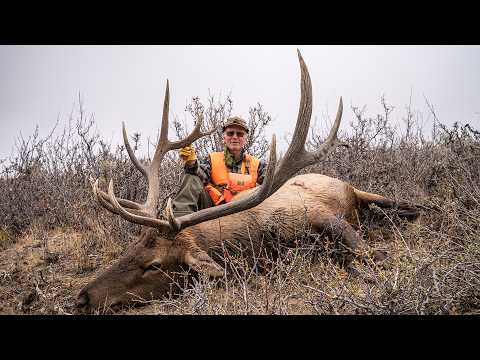 Видео: Замкнутый круг | Помогаем отцу заполнить его бирку для лося