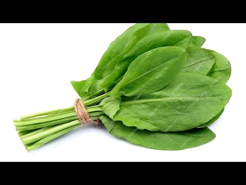 Видео: СУШИМ ЩАВЕЛЬ/БОТВУ / ПЕТРУШКУ/ БЕЗ ВКУСА СЕНА !!!