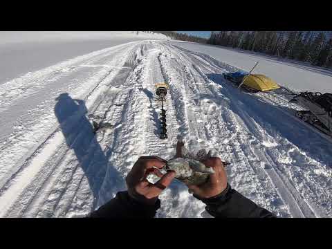 Видео: Рыбалка в Эвенкии..Часть 2.Год 2019 продолжение...