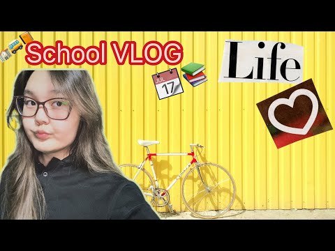 Видео: School vlog:11-сынып күнделігі📚/@botagoz_zhm