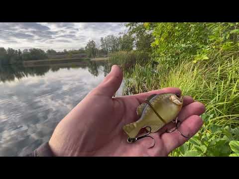 Видео: JACKALL GIRON ОДИН ИЗ ЛУЧШИХ СВИМБЕЙТОВ👍