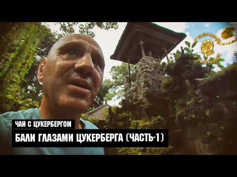 Видео: Чай с Цукербергом "Бали Глазами Цукерберга" Часть-1