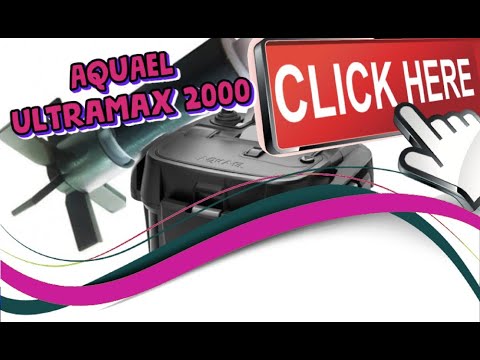 Видео: ОСТАНОВИЛАСЬ КРЫЛЬЧАТКА.ЧТО ДЕЛАТЬ? AQUAEL ULTRAMAX 2000