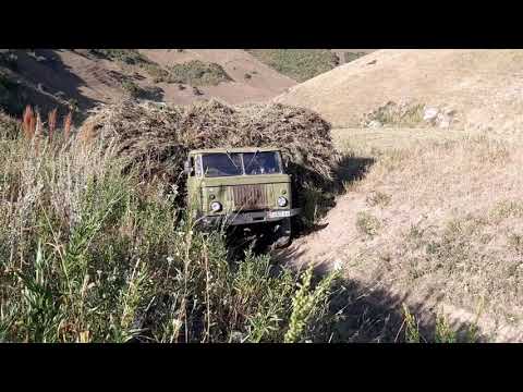 Видео: Газ 66 11 августь 2021 таш булак