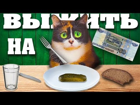Видео: SLIVKI SHOW ПРОВЕРКА! КАК ПРОЖИТЬ ЦЕЛЫЙ ДЕНЬ - НА 50 РУБЛЕЙ?