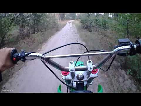 Видео: Питбайк 125 катаемся в лесу