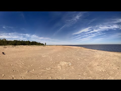 Видео: ПЛЯЖ БОЛЬШАЯ ИЖОРА 24.05.2020 ОТДЫХ