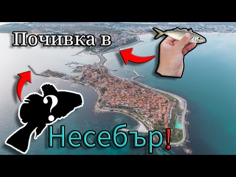 Видео: На ПОЧИВКА и МОРСКИ риболов в Несебър! Хванах 10 ВИДА РИБИ! САФРИД и ПОПЧЕТА на ПЛУВКА и ДЪНО!