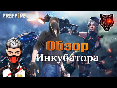 Видео: Фри Фаер новый инкубатор и обзор колеса фортуны