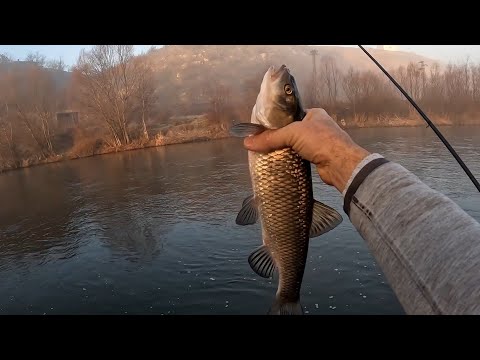 Видео: Първи риболов за 2025 г.  река Струма