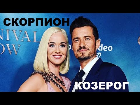 Видео: ТОП 10 фактов: КОЗЕРОГ И СКОРПИОН: ЧТО ОБЩЕГО?