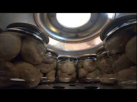 Видео: Шампиньоны и вешенки в автоклаве