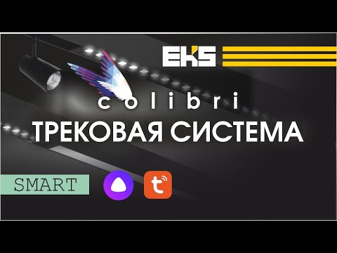 Видео: ПОЛНЫЙ ОБЗОР COLIBRI трековая система 220v | Умный дом | Монтаж | Подключение #eks #colibri