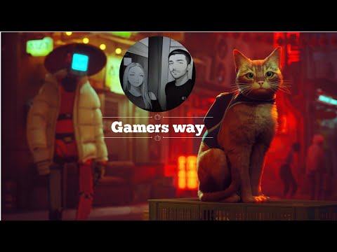 Видео: Стрим stray