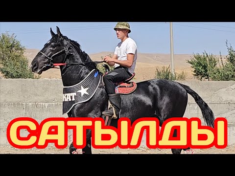 Видео: САТЫЛДЫ  НООКАТ