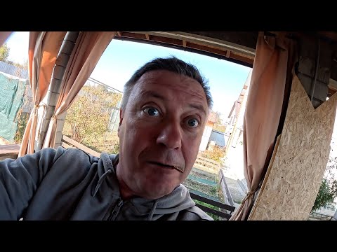 Видео: пока есть ЯГОДЫ в ЯГОДИЦАХ делаю САМ, а дальше, как ЖИЗНЬ сложится