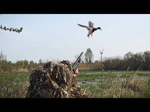 Видео: ОХОТА С ПОДСАДНОЙ УТКОЙ НА СЕЛЕЗНЯ. Как я закрыл весенний сезон.