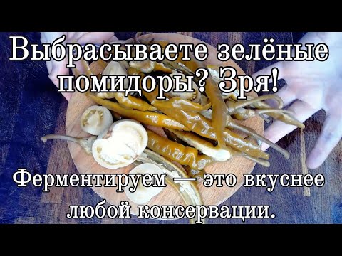 Видео: Выбрасываете зелёные помидоры? Зря! Ферментируем — это вкуснее любой консервации.