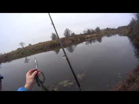 Видео: Прогулки по реке. Река Теза .